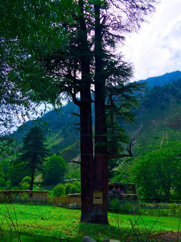Chitral Inn Resort Zewnętrze zdjęcie